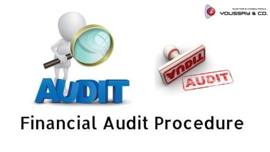 Financial Audit Procedure