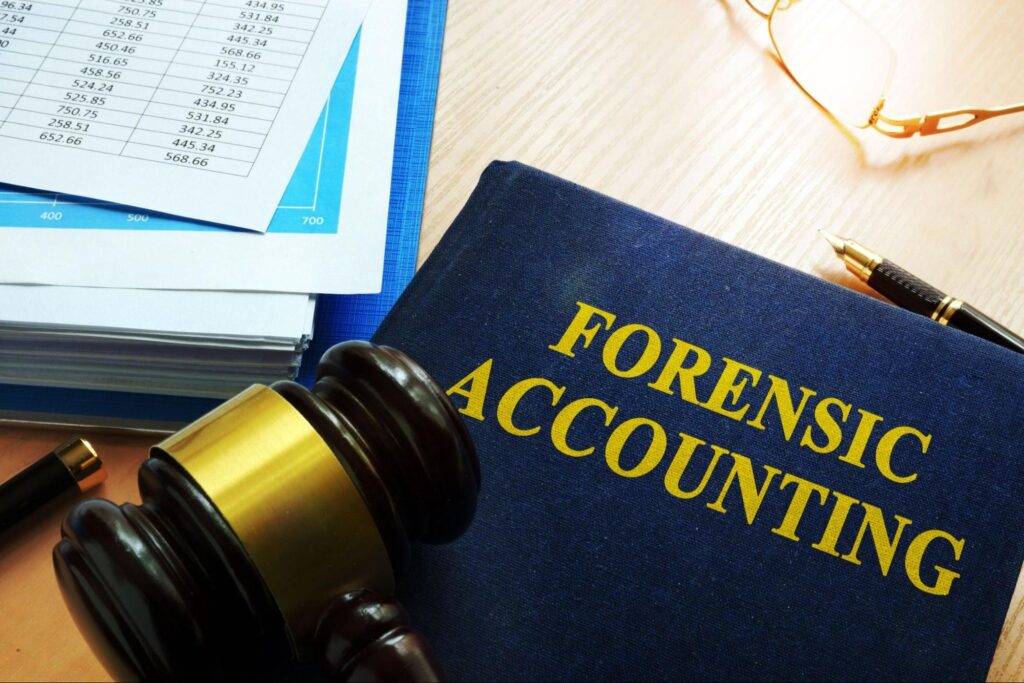 Forensic Tax Audit